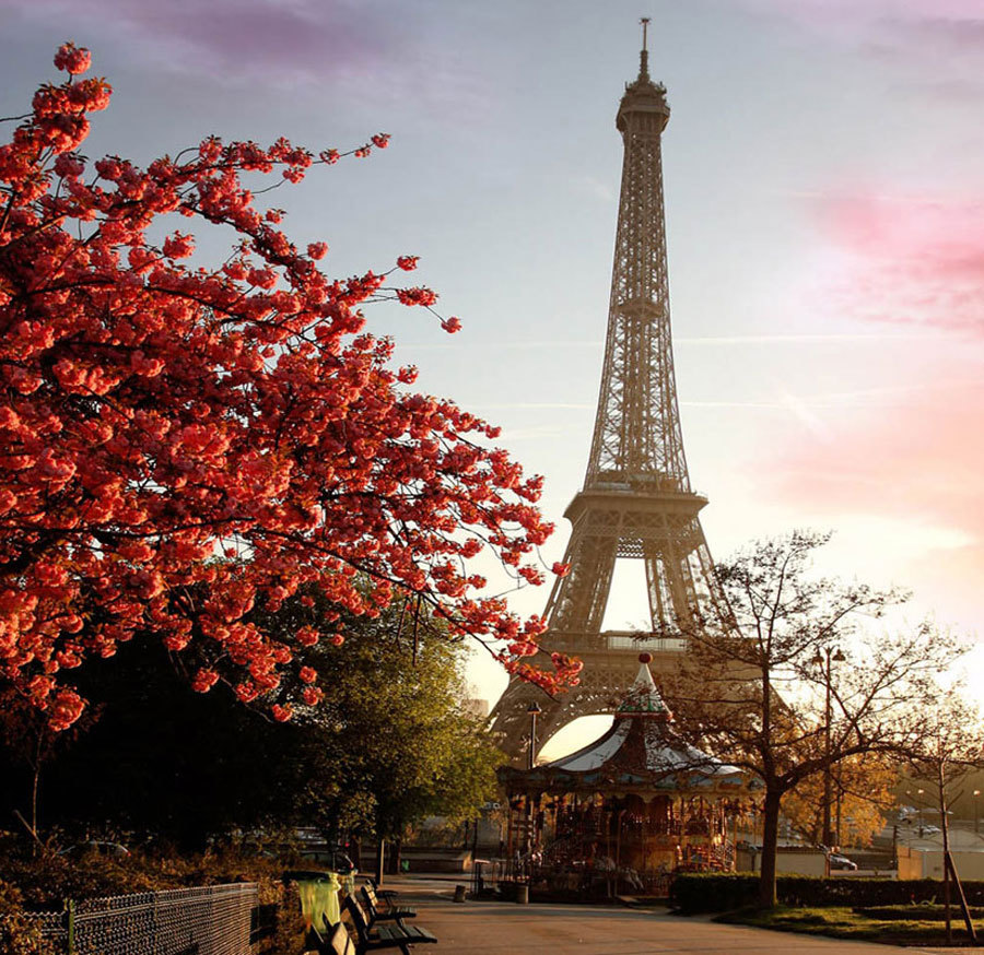 Флоренция.jpg paris_redleav3.jpg